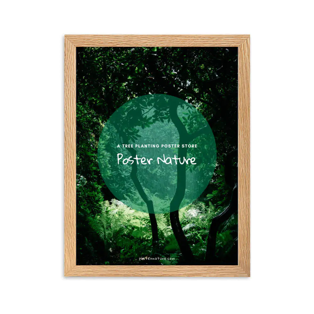 Wooden frame (cm)