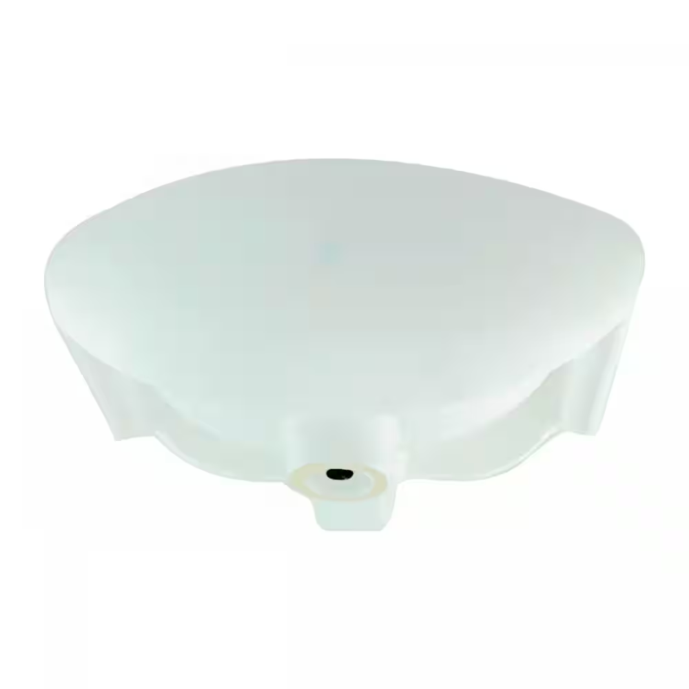 Dell Offset Faucet 16-1/8 In. Wall Mounted Bathroom Sink in White with Overflow