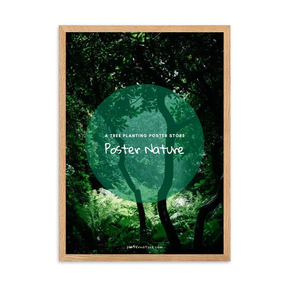 Wooden frame (cm)