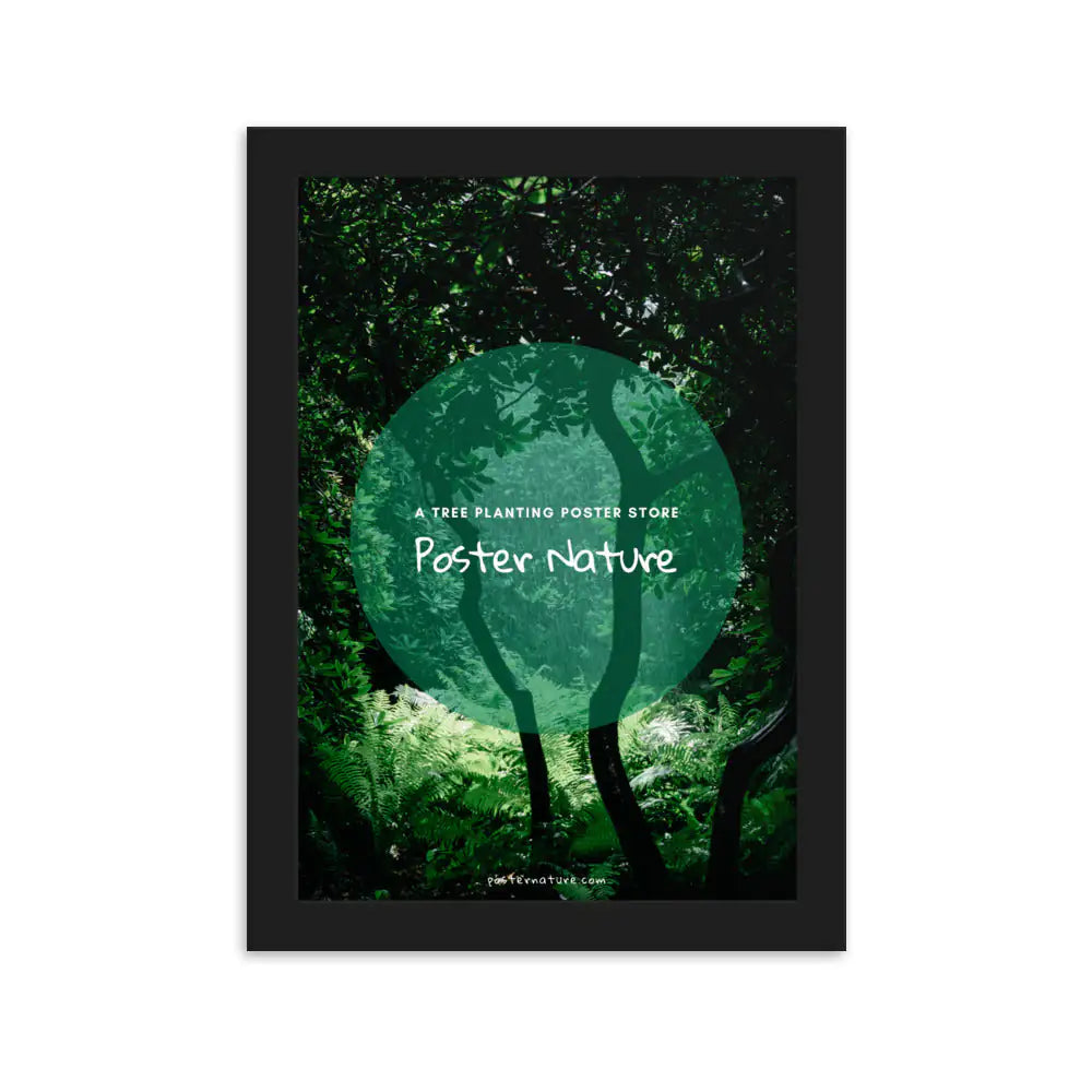 Wooden frame (cm)