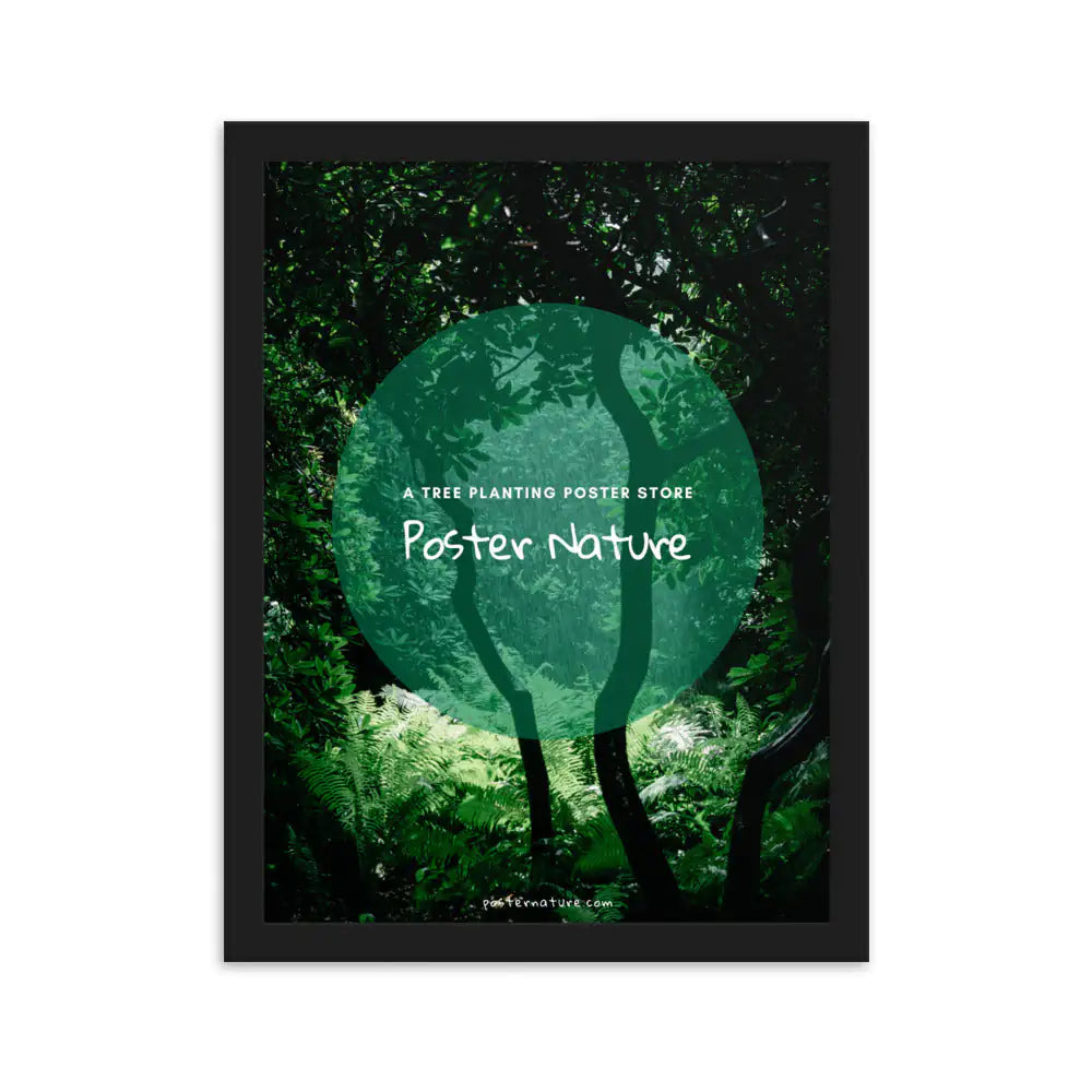Wooden frame (cm)