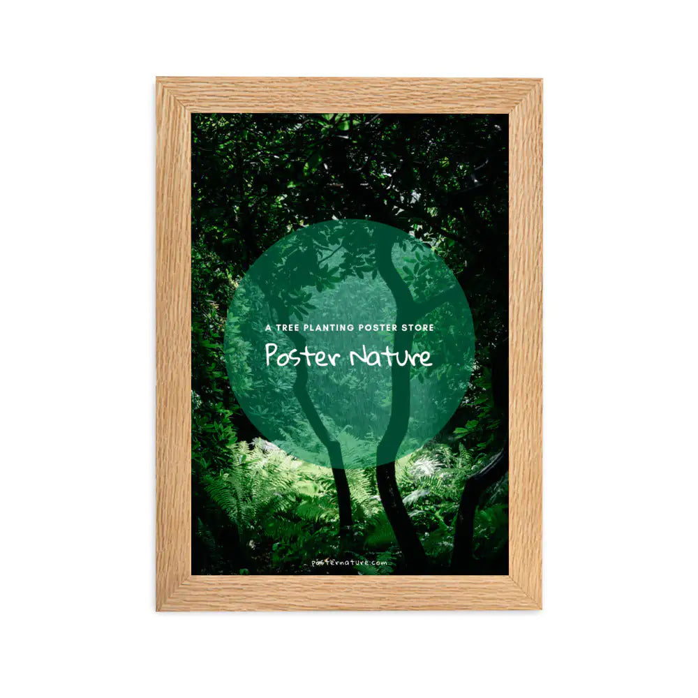 Wooden frame (cm)